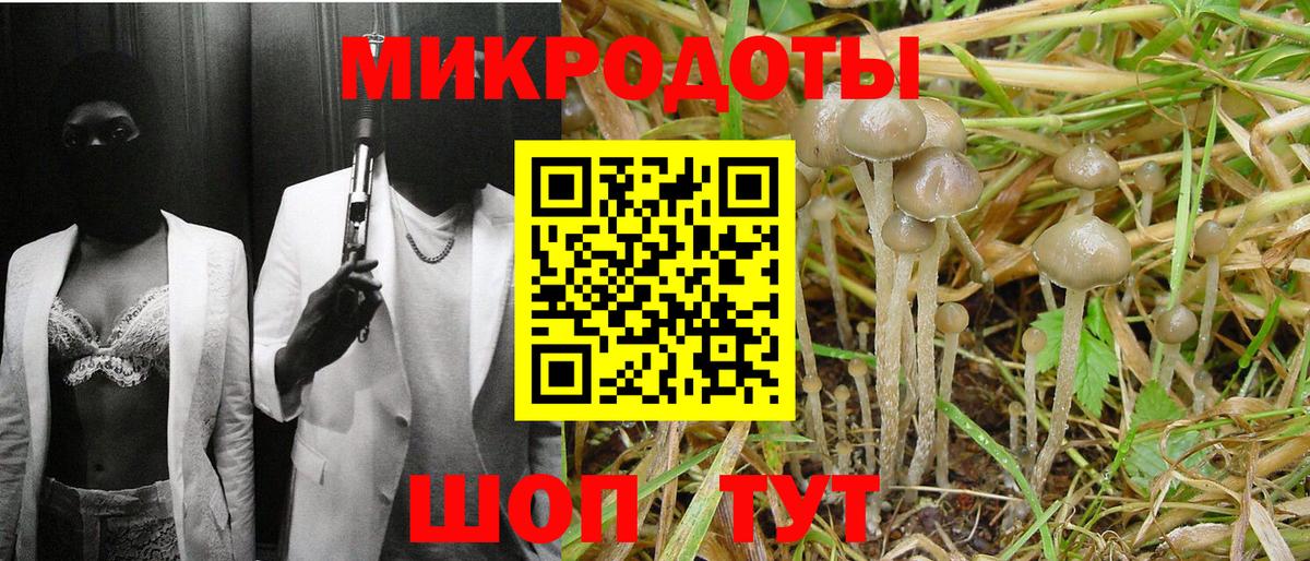 даркнет сайт  Псилоцибиновые грибы Cubensis  Вход с VPN  Рассказово 